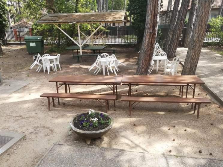 Fenyves Panzio Bed & Breakfast Siófok Dış mekan fotoğraf